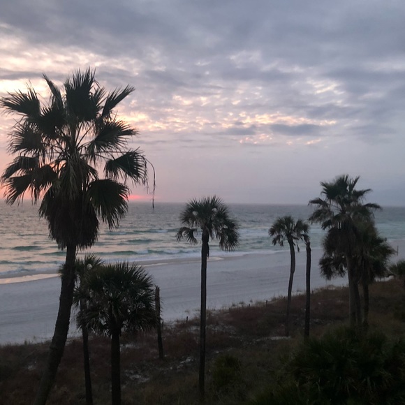 Meet your Posher, Pauline - Picture 5 of 9